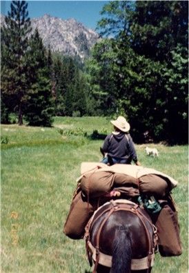 Horse Packing Equipment, Traveling With Horses, Horseback Camping, Camping With Horses, Horse Packing, Horse Camping, Horse Travel, Arte Cowboy, Trip Checklist