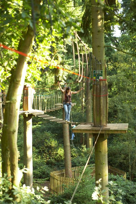 Go Ape Treetop Adventure, Adventure Park Aesthetic, Bday Plans, Pjo Cabins, Centre Parcs, 23 Birthday, Go Ape, Life Activities, Center Parcs