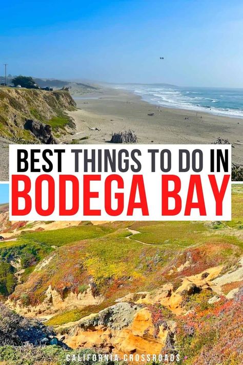 15 Beautiful Things to Do in Bodega Bay, CA - California Crossroads Bodega Bay California, California Coast Road Trip, Napa Valley Trip, Sonoma Coast, Beautiful California, Bodega Bay, Nevada Travel, Highway 1, Pacific Coast Highway