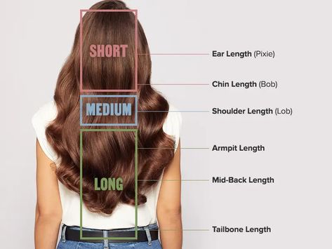 Short Hair Lengths Chart, Different Hair Lengths Chart, Hair Anatomy, Hair Length Guide, Hair Type Chart, Undercut Long Hair, Aloe Vera Hair Mask, Curl Your Hair, Hair Length Chart