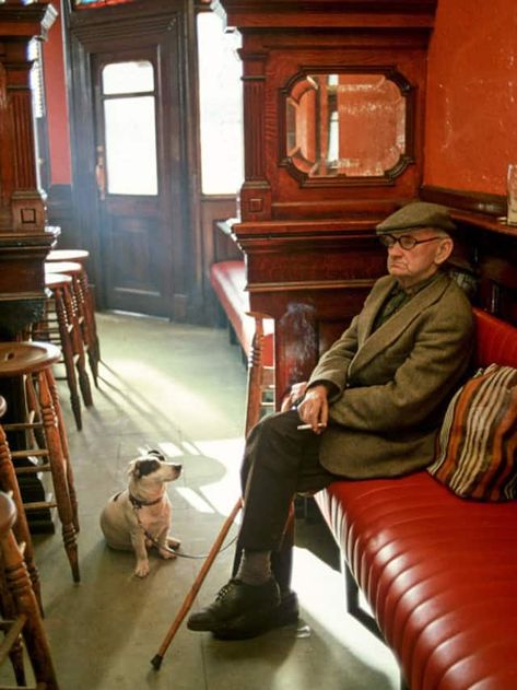 IN THE PUB - Far from dark and dingy, Ryans—a traditional pub on Parkgate Street—offers Victorian-style comfort and quiet for man and beast. Pub Ideas, Dublin Pubs, Irish Bar, English Pub, Pub Games, Irish Eyes Are Smiling, Erin Go Bragh, Irish Roots, Watering Hole