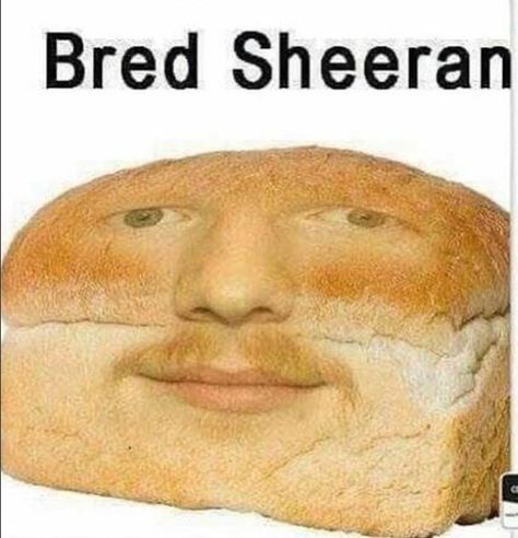 Ed Sherman, Ed Shiran, Ed Sheeran Memes, Ed Edd And Eddy, Ed Edd, Funny Pix, Crazy Funny Pictures, Goofy Pictures, Funny Profile