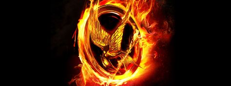 The Hunger Games Review - IGN Hunger Games Logo, Mockingjay Pin, Hunger Games Wallpaper, Hunger Games 2012, Mocking Jay, Hunger Games Movies, Hunger Games Fandom, Hunger Games Mockingjay, Hunger Games Catching Fire