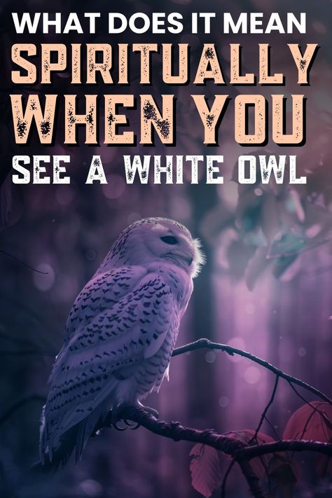 White owl on branch at dusk. Bird Symbolism, White Owls, Spirit World, White Owl, Spiritual Protection, Spiritual Messages, Spiritual Enlightenment, Spiritual Meaning, Evil Spirits