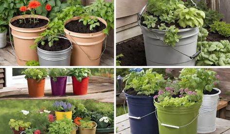 Are you a beginner gardener looking to grow your own fresh produce in a small space? A 5-gallon bucket garden is an excellent way to get started! These 5 Gallon Buckets, Gardening For Dummies, Portable Garden, Bucket Gardening, Plant Health, Edible Plants, Plant Growth, Grow Your Own, Large Plants