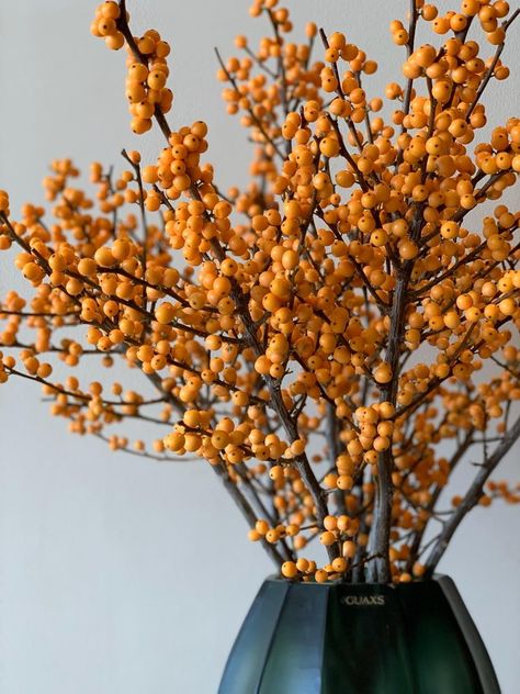 Ilex Flowers Art, Flower Art, Berry, Macrame, Thanksgiving, Lifestyle, Orange, Yellow, Flowers