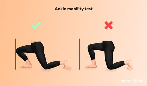 Ankle Mobility Exercises, Ankle Exercises, Ankle Mobility, Foot Exercises, Deep Squat, Ankle Injury, Mobility Exercises, Sprained Ankle, Body Anatomy