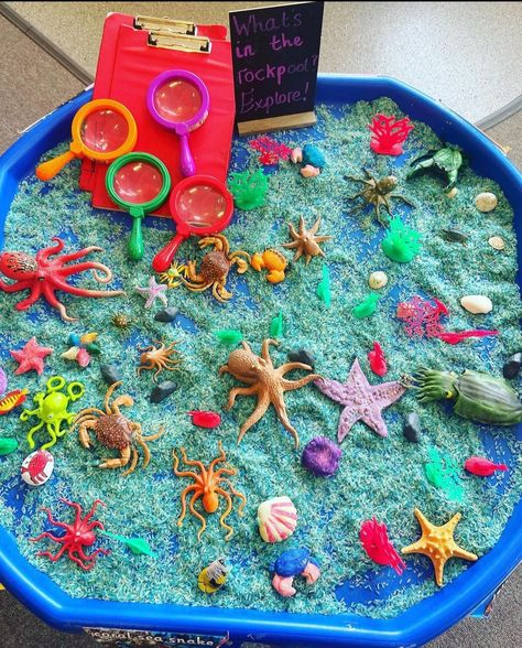 Sea Tuff Tray, Under The Sea Tuff Tray, Preschool Invitations, Sensory Tent, Tuff Tray Activities, Animale Marine, Preschool Community Helpers, Kids Sensory Play, Nursery Planning