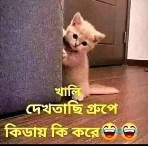 Bangla Funny Photo Bangla Funny Jokes, Bangla Funny Photo, Funny Photo, Funny Statuses, Best Funny Jokes, Cute Tumblr Pictures, Funny Work, Work Jokes, Funny Comments