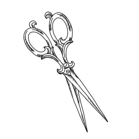 Scissor Drawing Reference, Scissor Tattoo Ideas, Victorian Scissors Tattoo, Old School Scissor Tattoo, Vintage Scissors Illustration, Old Scissors Tattoo, Tailor Scissors Tattoo, Antique Scissors Drawing, Open Scissors Drawing