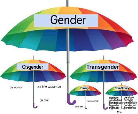 This is by no means supposed to be accurate, its just a simplification of gender! There are many more terms i haven't included Lgbt Memes, Umbrella Term, Gay Memes, Lgbt Love, Saint Laurent Paris, Gender Identity, Lgbtq Pride, Lgbt Pride, Einstein