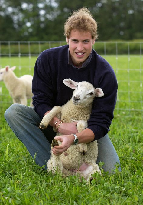 Prince William Highgrove Farm Prince William Et Kate, Prins William, Old Prince, Rainha Elizabeth Ii, English Royal Family, Photos Of Prince, Principe William, Prince William And Harry, Prince Williams