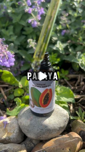 Health school on Instagram: "What happens if a woman took papaya seed oil 

Follow @realhealthschool to optimise your health ⚡️

Save for later 🌿

.
.
.
.
.
#health #fitness #healthylifestyle #fruit #viral #realhealth" Papaya Oil, Papaya Seeds, Oil Benefits, Save For Later, Papaya, Seed Oil, Healthy Lifestyle, A Woman, Seeds