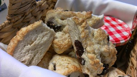 Bisquick Cookies, Sweet Scones, Best Scone Recipe, Baking Scones, Scones Recipe Easy, Scones Easy, Scones Ingredients, Bisquick Recipes, Urban Dictionary