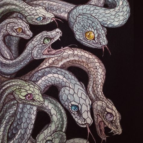 caitlin_hackett's photo on Instagram Caitlyn Hackett, Caitlin Hackett, Snake Art, Flash Art, Snakes, Artist Art, Dark Art, Art Materials, New Art