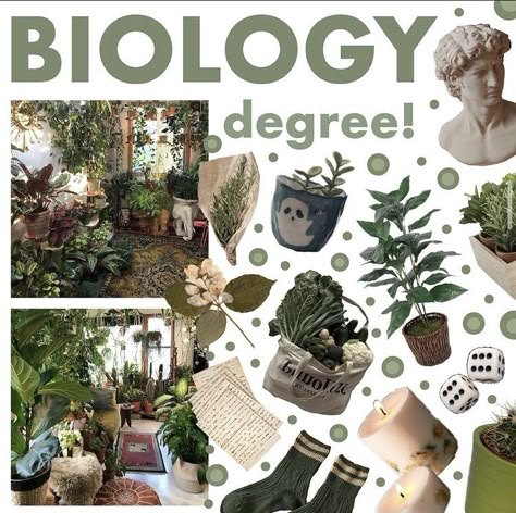 Green Academia Aesthetic, Biology Degree, Biology Major, Green Academia, Niche Aesthetic, Wildlife Biologist, Florist Shop, Weird Science, Cute Bedroom Decor