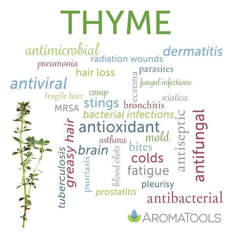 Thyme Essential Oil Uses, Thyme Benefits, Doterra Oils Recipes, Thyme Essential Oil, Thyme Oil, Essential Oil Remedy, Essential Oils Guide, Oil Remedies, Oil Diffuser Recipes