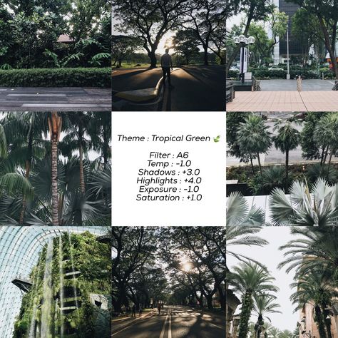 Vsco Green Aesthetic, Green Vsco Filter, Tropical Filter, Vsco Lightroom Presets, Vsco Effects, Vsco Filter Free, Vsco Filter Instagram, Vsco Themes, Vsco Tutorial