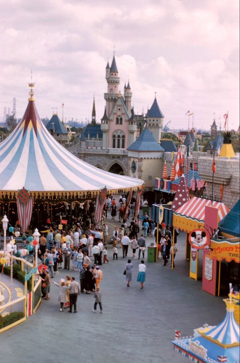 Original Fantasyland on a tight budget with a fair theme. This area recieved a remodel in 1983 as New Fantasyland, which took the theming to a whole new level. Disney Fantasyland, Disneyland Pics, Fantasyland Disneyland, Jerrod Maruyama, Fair Theme, Disneyland Castle, Disney 2024, Vintage Disneyland, Disney Aesthetic