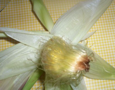 Corn Silk Tea Benefits | HubPages Corn Silk Tea, Corn Silk, Ears Of Corn, Holistic Remedies, Tea Benefits, Health Remedies, Natural Remedies, All Natural, Corn