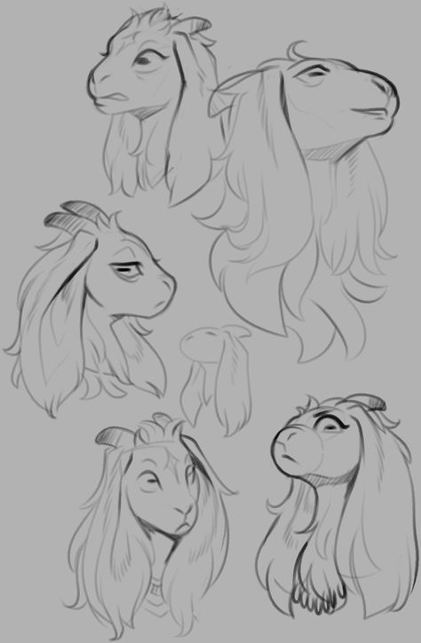 Animal Mouth Reference, Goat Nose Drawing, Anthro Face Reference, Goat Anatomy Drawing, Goat Anthro Art, Anthro Expression Reference, Anthro Goat Reference, Goat Character Design Concept Art, Sheep Fursona Base