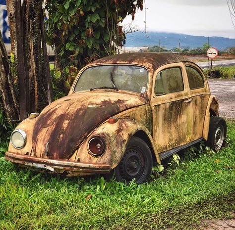 Rusty Cars Abandoned, Old Rusty Car, Mechanics Aesthetic, Bug Car, Classic Car Restoration, Beetle Car, Cool Car Drawings, Rusty Cars, Volkswagen Car