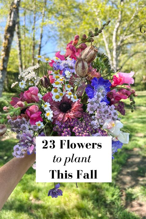 Fall planted hardy flowers tend to grow taller, stronger, and healthier than flowers planted in the Spring. If you want to grow armloads of flowers next year, you’ve got to get a jump start on the season now!   23 Flowers Perfect for Fall, Winter, or Early Spring Planting, Seed Starting Instructions, Planting Time Guide, Hardy Flowers Cheat Sheet  Cut Flower Garden How To Start Flower Garden, Cut Flower Garden Bouquet, Cut Flower Garden Layout, Cut Garden Flowers, Fall Planting Guide, Winter Flowers Garden, Planting Seed, Flower Planting Guide, Gardening Inside