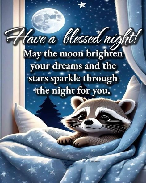 Good Night Rainy Night Quotes, Goodnight Rainy Night, Good Night Raccoon, Cat Saying Goodnight, Sweet Dreams Pictures, Have A Blessed Night, Good Night Memes Funny Sweet Dreams, Good Night Cards, Weekend Greetings