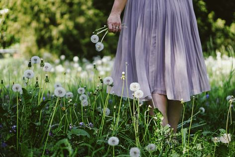 Most of the dandelions had changed from suns into moons. ~ V. Nabokov ~ soft dreams to you . . . . #myspringmanifesto #bloomandgrow… Trisha Elric, Walburga Black, Princess Rapunzel, Disney Rapunzel, I Saw The Light, Modern Disney, Disney Tangled, Disney Aesthetic, Princess Aesthetic