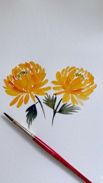 Yellow Chrysanthemum Drawing, Chrysanthemum Watercolor Painting, How To Draw Chrysanthemum, Watercolor Chrysanthemum, Chrysanthemum Drawing, Chrysanthemum Watercolor, Filbert Brush, Chrysanthemum Painting, Flower Calendar