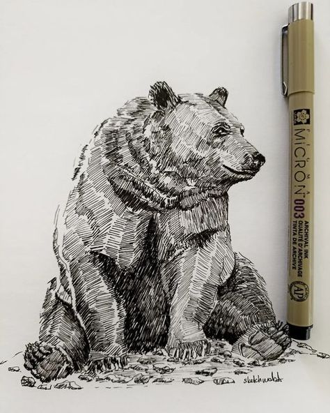 Animal Sketches Aesthetic, Realistic Ink Drawings, Animals Ink Drawing, Exotic Animals Drawings, Easy But Impressive Drawings, Graphite Animal Drawings, Animal Pen Sketch, Animals To Draw Realistic, Animal Ink Drawing