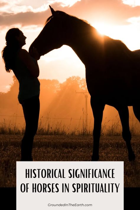 Exploring the Spiritual Significance of the Horse Symbol - Grounded In The Earth Horse Symbol, Horsemen Of The Apocalypse, Buddhist Traditions, Animal Symbolism, Human Spirit, Black Horses, Spiritual Symbols, Christian Symbols, Personal Aesthetic