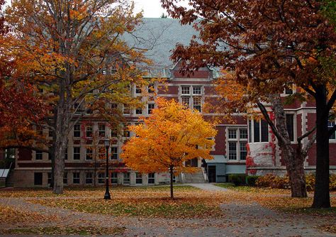 Bowdoin college in Maine Autumn Clock, Anne Of Windy Poplars, Brunswick Maine, Bowdoin College, When September Ends, College Architecture, University Architecture, Autumn Night, Best Seasons