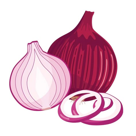 Whole, half, and sliced red onions isolated on white background. Vector cartoon illustration. Red Onion Drawing, Red Onion Illustration, Onion Illustration, Onion Cartoon, Onion Art, Onion Drawing, Vacation Planner Template, Space Coloring Pages, Drawing Competition