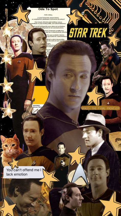 Cat Communication, Star Trek Data, Fandom Star Trek, Star Trek Wallpaper, Star Trek Funny, Star Trek Series, Star Trek Characters, Star Trek Art, Happy Pictures