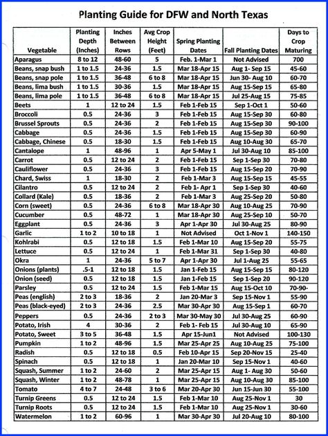 Vegetable Planting Guide for DFW and North Texas Best Vegetables To Grow In North Texas, Fall Garden Texas Zone 8, North Texas Gardening Schedule, Texas Planting Schedule, Texas Greenhouse Ideas, Texas Garden Ideas, Zone 8 Planting Schedule, Texas Greenhouse, Landscaping Texas