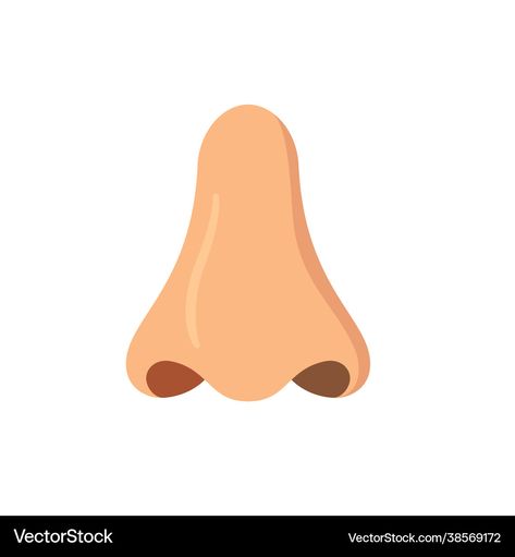 Human Nose, Sense Organs, Care Symbol, Body Organs, Hand Shapes, Science And Nature, Transparent Png, High Res, Png Images