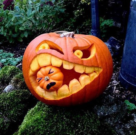 Pumpkin Competition Ideas, Halloween Pumpkins Carvings Designs, Funny Pumpkin Carvings, Creative Pumpkin Painting, Cute Pumpkin Carving, Halloween Pumpkin Carving Stencils, Pumpkin Carving Contest, Creepy Pumpkin, Creative Pumpkin Carving