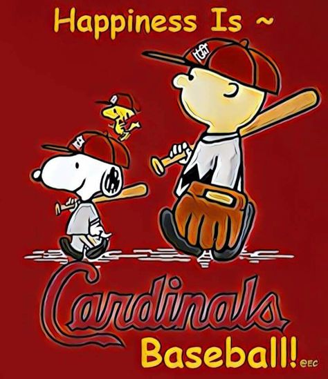 Cardinals Wallpaper, Stl Cardinals Baseball, Cartoon Sports, Cardinals Players, Fall Pics, Baseball Ticket, St Louis Cardinals Baseball, Baseball Pitching, Fantasy Baseball