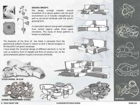 Site Analysis Architecture, Interior Design Presentation, Arch Model, Coral Design, Concept Diagram, Architecture Concept, Concept Development, Roof Top, Green Landscape