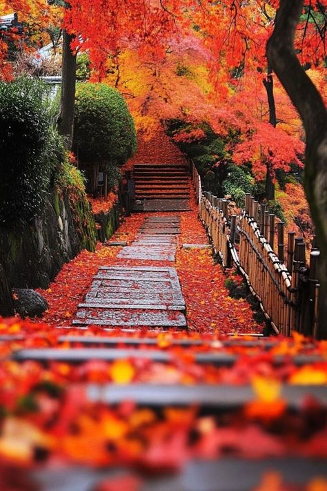 Explore Kyoto's Stunning Autumn Leaves 🍁 Kyoto in autumn is a sight to behold with its beautiful fall foliage. Visit temples and gardens to see the vibrant red and orange leaves. 🌿🍂 #AutumnLeaves #AutumnTravel #Kyoto #Japan Autumn Leaves Japan, Japan Autumn, Japan Landscape, Garden Illustration, Orange Leaves, Orange Leaf, Fall Travel, Red And Orange, Landscape Illustration