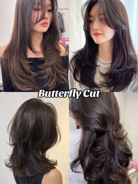 Teen Hair Cuts, Unique Haircuts For Long Hair, Fairy Haircut, Kpop Haircut, Pretty Hair Cuts, Aesthetic Hairstyles, Hair Inspiration Long, Layered Haircuts For Medium Hair, Long Wolfcut Haircut