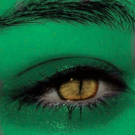 green skin Green Skin Aesthetic, Green Skin, Green Tiefling, Ranger Dnd, Skins Characters, Special Force, Colors For Skin Tone, Monster High Characters, Aesthetic Images