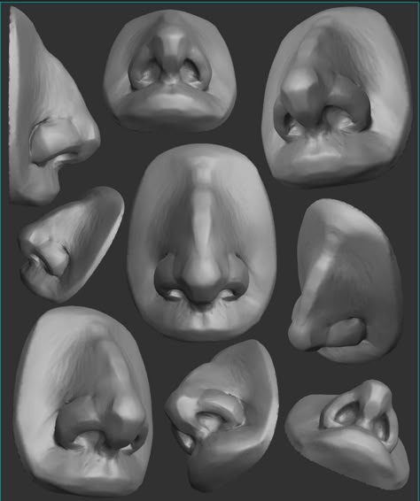 Nose From Below, Nose Sculpture, Face Anatomy, Figurative Kunst, Anatomy Sculpture, Nose Drawing, Human Anatomy Drawing, Human Anatomy Art, Anatomy Sketches