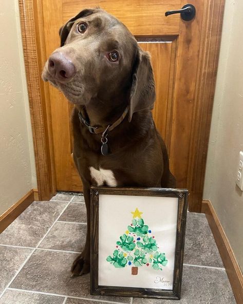 Dog Paw Print Craft, Crismas Tree, Paw Print Crafts, Dog Paw Print Art, Paw Print Christmas, Paw Print Art, Paw Painting, Crafty Morning, Paw Print Ornament