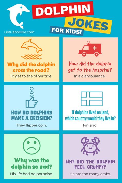 The best dolphin jokes for kids. Dolphin Puns, Dolphin Quotes, Funny Dolphin, Kid Jokes, Cartoon Dolphin, Kids Jokes, Funniest Jokes, Glow Birthday Party, Lake Fun