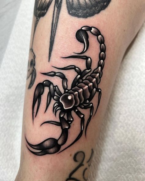 Neotraditional Tattoo, Scorpio Tattoo, Scorpion Tattoo, Sketch Tattoo Design, Greek Tattoos, Leg Tattoos Women, Tatuaje A Color, Traditional Tattoo Art, Cute Tattoos For Women