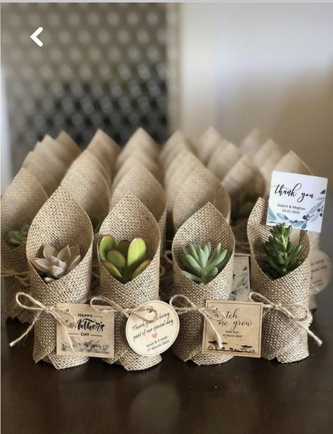 Recuerdos Primera Comunion Ideas, Idee Babyshower, Succulent Favors, Succulent Gifts, Future Wedding Plans, Shower Favors, Wedding Favours, Wedding Shower, Boho Wedding