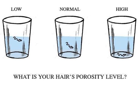 Here's a simple test you can do to determine your hair porosity. It's called the Wet Strand test. Take a clean strand of hair, put it in a cup of water and wait for it. If it sinks, your hair is high porosity. If it floats, it is low porosity but if it stays in the middle, it's normal porosity. #THENUBIANCROWN #CrownTips Hair Porosity Test, Hair Science, Hair Growth Secrets, Low Porosity Hair Products, Hair Porosity, Healthy Natural Hair, Coily Hair, Natural Haircare, Natural Hair Tips