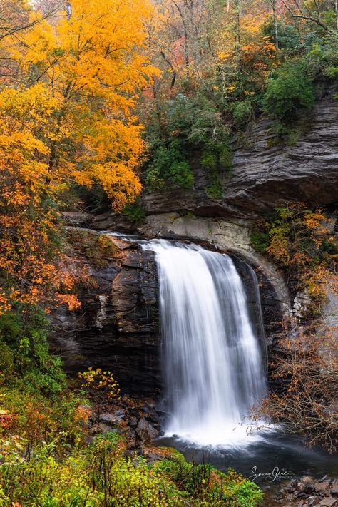 Looking Glass Falls, Brevard, North Carolina Looking Glass Falls Nc, Waterfalls North Carolina, Crabtree Falls Nc, Moravian Falls North Carolina, Brevard North Carolina, Waterfall Close Up, Bob Ross Paintings, Fall Images, Beautiful Images Nature